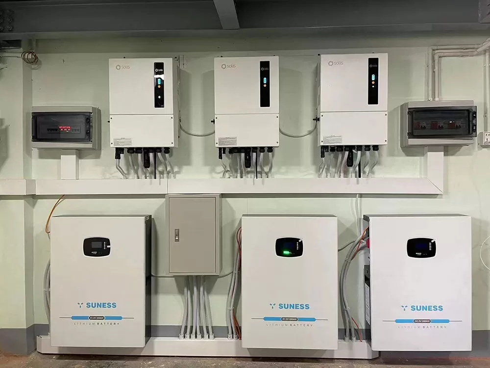 Parab&eacute;ns aos revendedores profissionais da Suness em Mianmar!