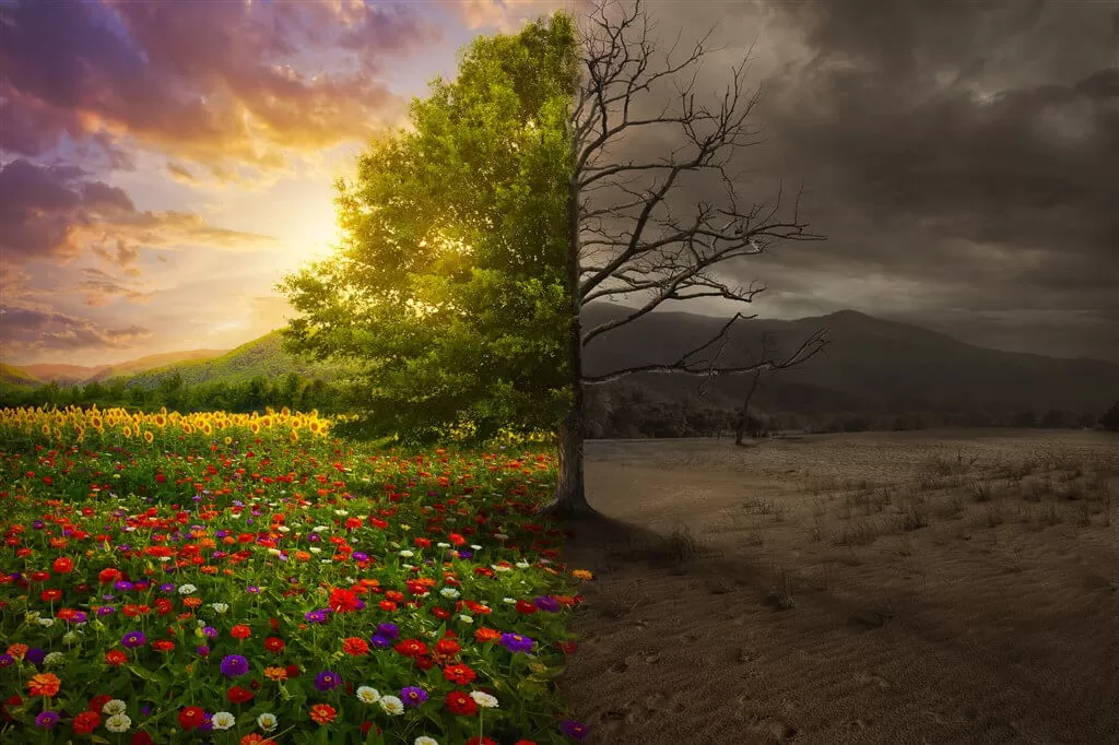 Como as taxas de juros moldam o futuro da energia limpa