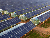 Solu&ccedil;&atilde;o Fotovoltaica Agr&iacute;cola